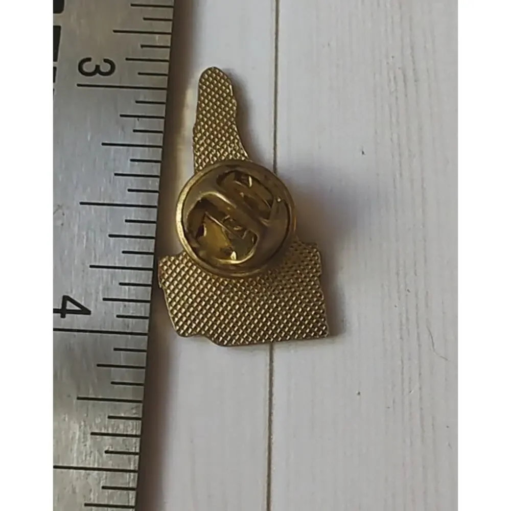 New Hampshire Granite State Pin for a Hat, Lapel, Lanyard, Jacket or Backpack